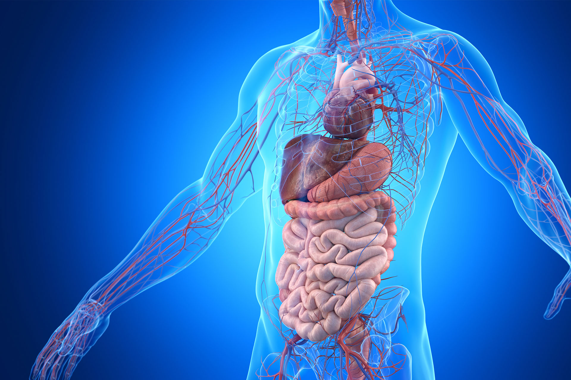 Vascular Specialist in Jp Nagar